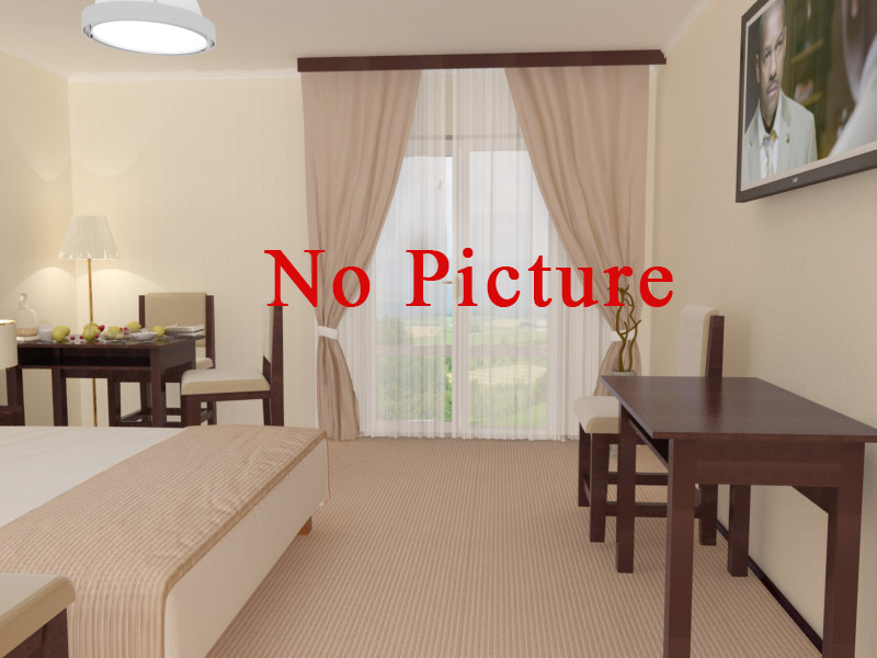 Номер комфорт (с завтраком) в Гостинице Витязь